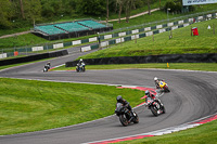 cadwell-no-limits-trackday;cadwell-park;cadwell-park-photographs;cadwell-trackday-photographs;enduro-digital-images;event-digital-images;eventdigitalimages;no-limits-trackdays;peter-wileman-photography;racing-digital-images;trackday-digital-images;trackday-photos